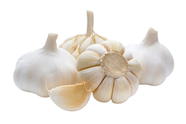 Fresh Garlic